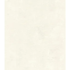 Tapet & Glasvæv ^ Rasch STUDIO 2027 ENSFARVET TAPET 0,53X10 M
