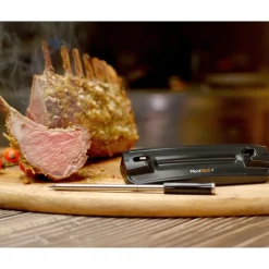 5 STEGETERMOMETER>The MeatStick Online