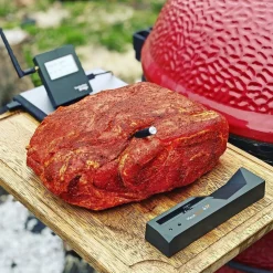 4 X STEGETERMOMETER>The MeatStick Sale