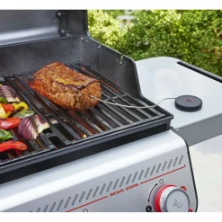 SMART PROBE STEGETERMOMETER>Weber Best