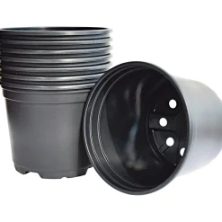 Frø & Spiring ^ Weibulls UDPLANTNINGSPOTTE 14 CM
